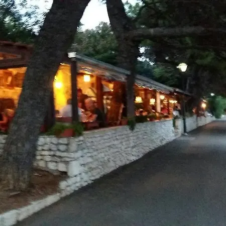 Apartment Bozovic *